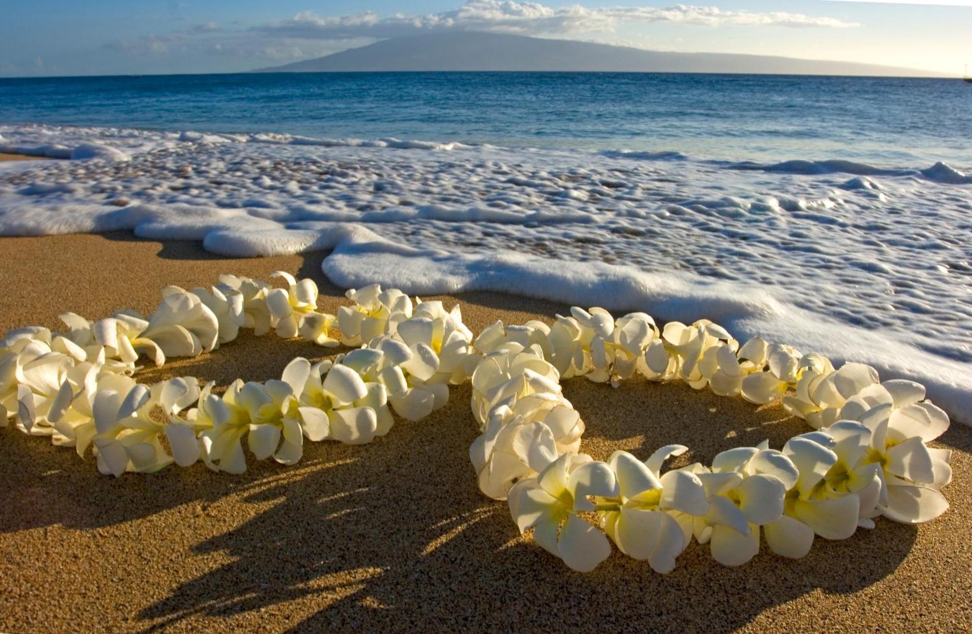 Mountain View Condo, Near Beach, Free Parking! Honolulu Exterior photo